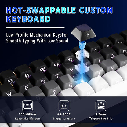 65% Gaming Keyboard, LED Backlit Mini Wired Keyboard, Ultra-Compact Anti-Ghosting No-Conflict 68 Keys Membrane Gaming Wired Keyboard for PC Laptop Windows Gamer(Gray-White)