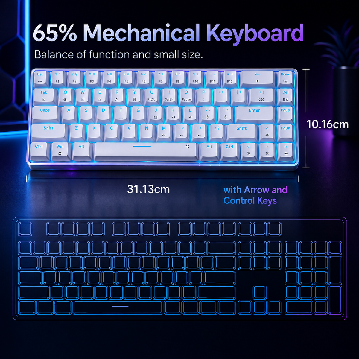 Nexus | TMKB T68SE 60% Gaming Mechanical Keyboard,Ultra Compact Mini 68 Key with Red Switches Wired Keyboard,Anti-Ghosting Keys, for Windows Laptops and PC Gamers,White