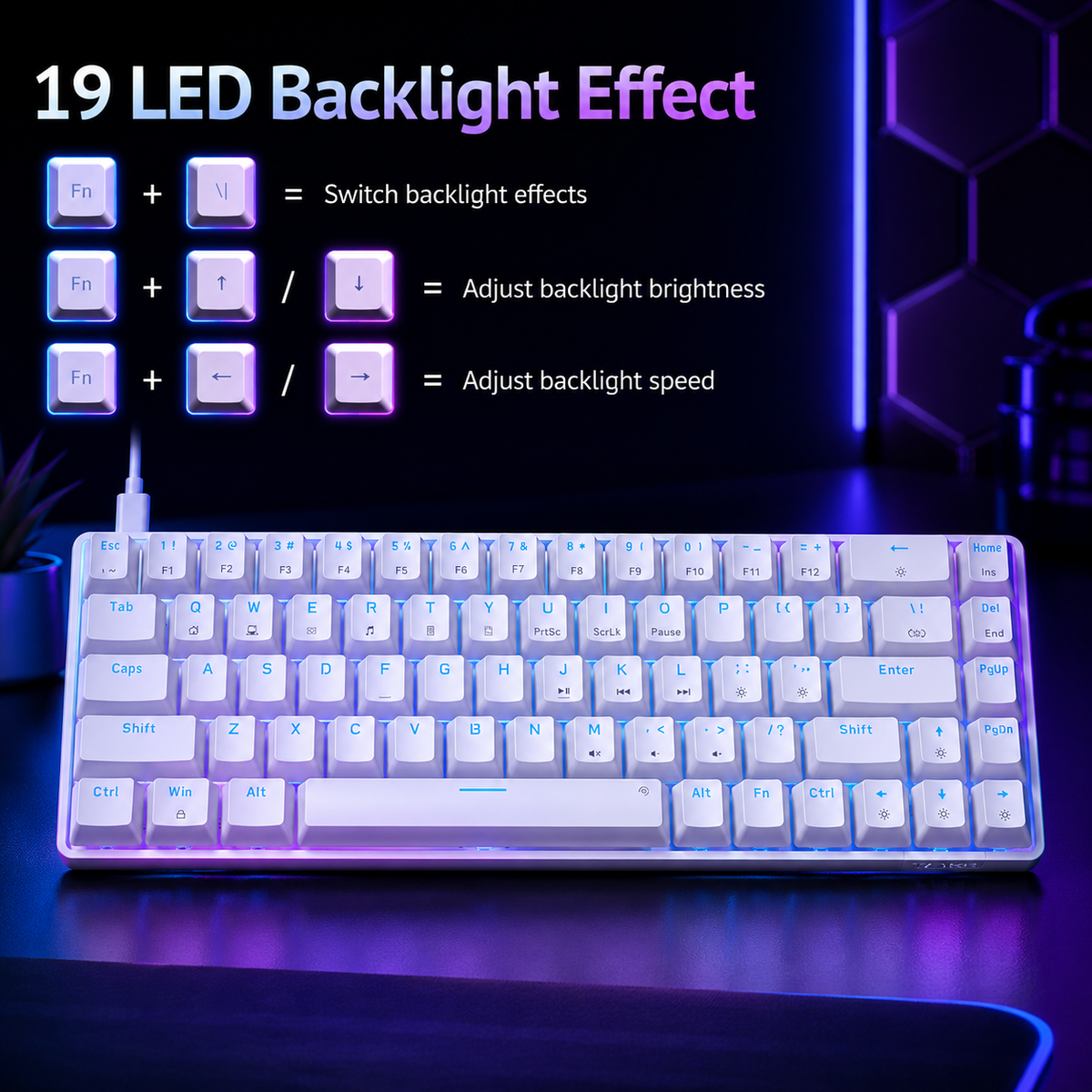Nexus | TMKB T68SE 60% Gaming Mechanical Keyboard,Ultra Compact Mini 68 Key with Red Switches Wired Keyboard,Anti-Ghosting Keys, for Windows Laptops and PC Gamers,White