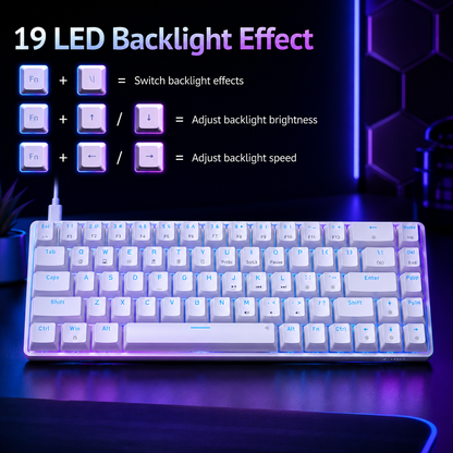 Nexus | TMKB T68SE 60% Gaming Mechanical Keyboard,Ultra Compact Mini 68 Key with Red Switches Wired Keyboard,Anti-Ghosting Keys, for Windows Laptops and PC Gamers,White